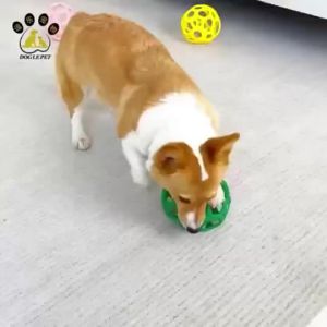 Pet Chew Treats dog chew sticks cat chew snack pet training reward for supervised pet chewing feeding and training for Cats Dogs and Pet Owners for Home Grooming Feeding Training and Travel