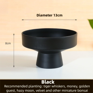 Hydroponic Moss Ball Fern Green Plant Resin Flowerpot Simple Flower Arrangement Special Plate Desktop Micro Bonsai Without Plants