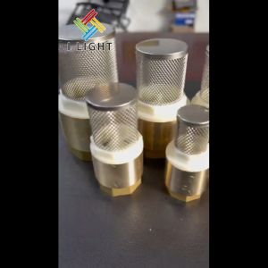 (Fast&COD)Brass Check Valve 1/2-1 Lock Valve Foot Valve Swing Valve Non-return Swing Check Valve