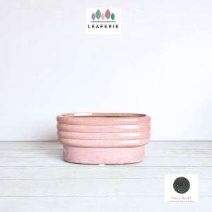 The Leaferie Peony plant pots Flowerpot flowerpots flower pot flower