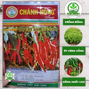 (Gói 5gr) Hạt Giống Ớt Cay Lai F1 CN 020 CHÁNH NÔNG - Trái dài vi cay năng suất cao