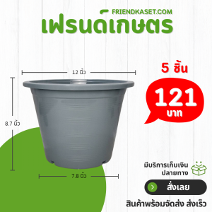 กระถาง กระถางต้นไม้ กระถางพลาสติก เบอร์ 12 นิ้ว สีเทา 5 ใบ ชิ้น อัน