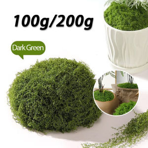 100/200g Artificial Garden Plastic Moss Simulation Eternal Life Green Fake Moss Plants Fake Scene
