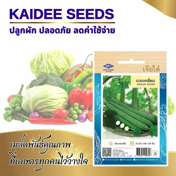 เมล็ดบวบเหลี่ยม ตราเจียไต๋ พร้อมวิธีปลูก