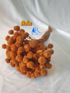 Rarin ดอกกระดุมเงิน (สีส้ม) ดอกไม้แห้งหลากสี ขนาด 1 กำ ใช้ตกแต่ง ตามโต๊ะอาหาร ร้านกาแฟ งาน Diy ต่างๆ มีของพร้อมส่งค่ะ