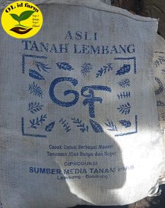 TANAH LEMBANG MEDIA SEMAI ISI  2510 kg UNTUK SEMUA JENIS TANAMAN
