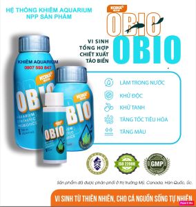 Koika OBIO Vi sinh men tiêu hoá cao cấp chiết suất từ tảo biển giúp trong nước dễ tiêu hoá cho cá vàng rồng La Hán Dĩa