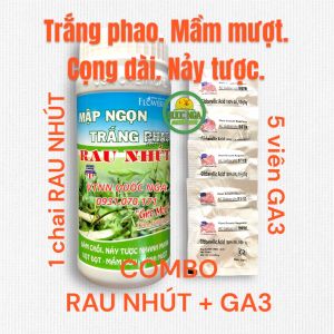 COMBO RAU NHÚT + GA3 - TRẮNG PHAO MẦM MƯỢT CỌNG DÀI NẢY TƯỢC