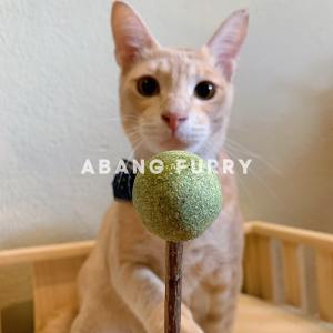 Abang Furry• READY STOCK Natural Catnip Lollipop/Toy Mutian Polygonum Mint Ball Cleaning Teeth Cat Treats Snack 天然猫薄荷棒棒糖/玩具木天蓼薄荷球洁齿
