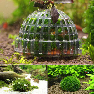 Fantic Aquatic Pet Supplies Decorations Aquarium Moss Ball Live Plants Filter Pet Decor