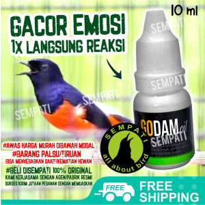 SEMPATI Godam Oil Metabolisme High Obat Burung Sakit Macet Bunyi Mabung Tidak Tuntas RSWPAJ2
