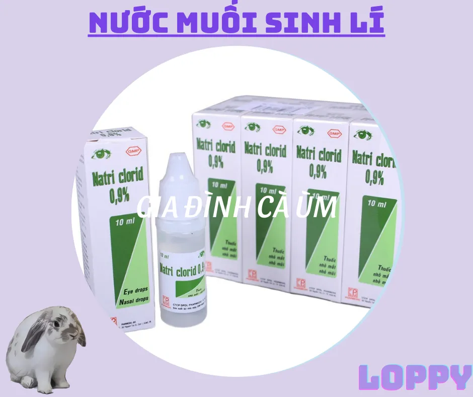 Nước Muối Sinh Lý Nhỏ Mắt Cho Mèo: Giải Pháp An Toàn Và Hiệu Quả Cho Đôi Mắt Sáng Khỏe