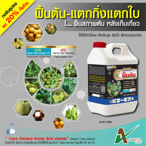 ฟื้นต้น แตกกิ่ง แตกใบ ฟื้นฟูสภาพต้น ใบเขียว ใบแข็งตั้ง หลังเก็บเกี่ยว ต้นสมบูรณ์ ทนสภาพอากาศ เอเจนต้า คอร์ป (หลายขนาด)