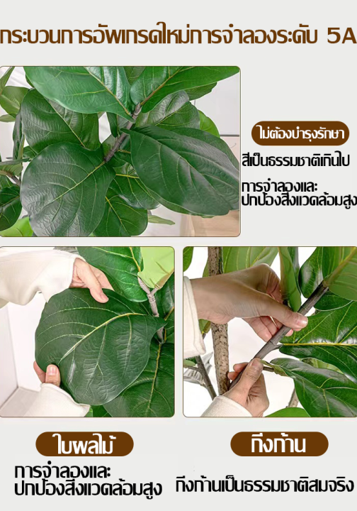 🟡 matplotlib tutorials # 4 🟢 contour lines in... 🎍จัดส่งไว🎍ต้นไม้ปลอม ต้นไม้ปลอมใหญ่ ต้นไทรใบสัก ไทรใบสัก ปลอม แถมกระถาง ...