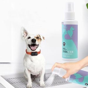 【COD】Extra Large Dog Toilet Flat Dog Toilet With Column Grid Format Enclosure Dog Toilet Training Potty