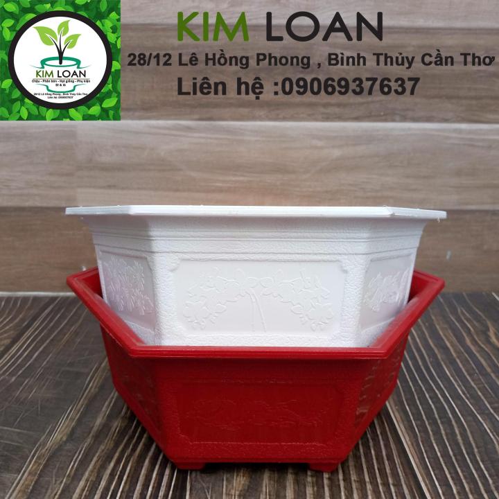 Combo 4 chậu nhựa lục giác truyền thống mini 21x8cm