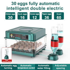 130 Eggs Fully Automatic Egg Incubator Color Screen Intelligent Digital Hatcher Brooder 220V/12V Dual Power Built-in Lighting Multi-Functional Durable Egg Incubator