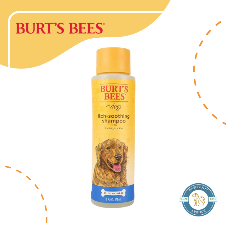 Burt's Bees ItchSoothing Shampoo for Dogs 473ml (16 Fl Oz) Lazada PH