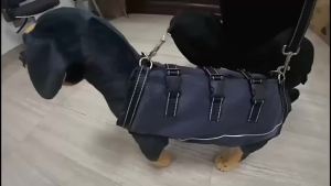 Dog Lift HarnessSupport Rehabilitation Sling Padded Breathable Straps for Old Disabled Joint Injuries Arthritis Dog Walk