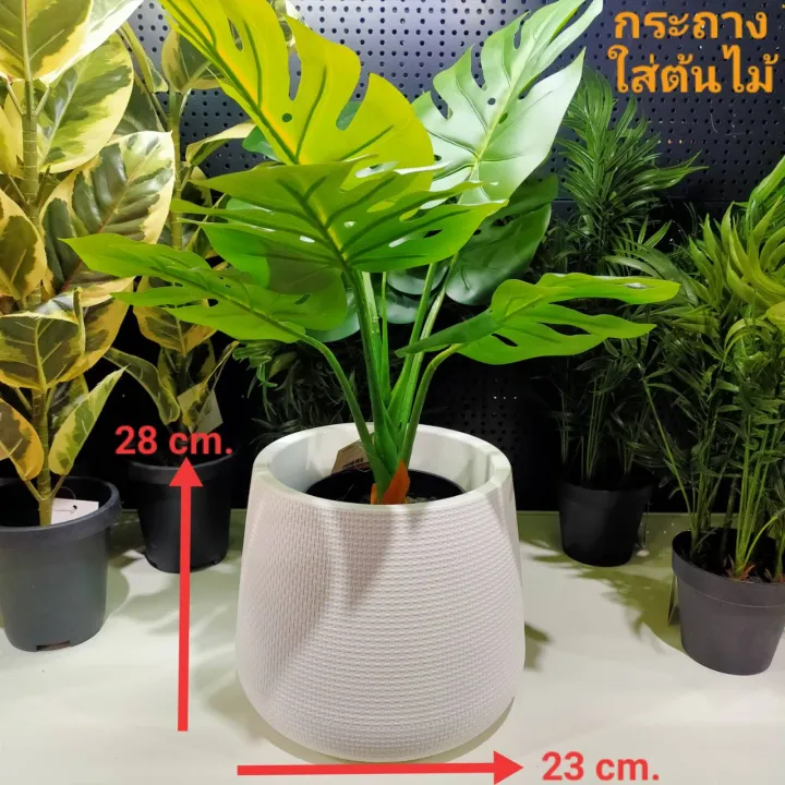 กระถางพลาสติกสีขาวมินิมอล รุ่นเบลล่า