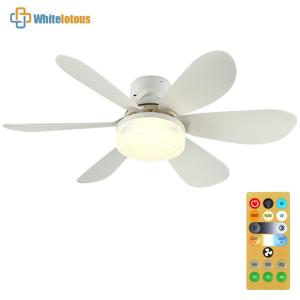 2 In 1 Electric Ceiling Fan 3 Gear Adjustable Ceiling Fans with LED Lights Timing Modern LED Lamp Fan for Garage Office
