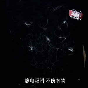 Hair Removal Brush Fur Lint Remover Dust Cleaner Clothes Hair Remover Brush Cleaning Brush