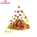 Royal Canin SENSORY SMELL อาหารแมวแบบเปียก สำหรับแมวช่างเลือก กระตุ้นการกินด้วยกลิ่นหอมเฉพาะ (เจลลี่) (85g). 