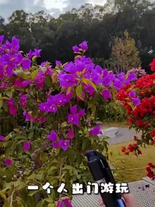 【SG Local Stock】1.7M Selfie Stick Bluetooth Mobile Phone Tripod Mini Extendable Phone Holder for Selfie Video Recording