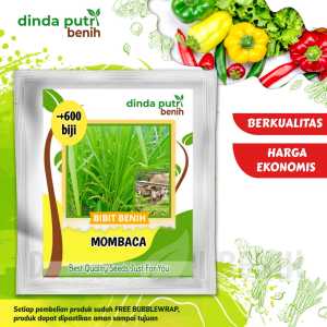 Benih Rumput Mombaca F1 isi benih 600 biji asli Agrimax Repack