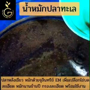 น้ำหมักปลาทะเล(บรรจุ 1 ลิตร)น้ำหมักชีวภาพ