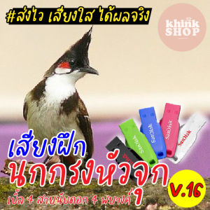 เสียงฝึกนกกรงหัวจุกเบิ้ล 4 สายนับดอก 4 พยางค์ แฟลชไดร์ฟเสียงฝึกนกกรงหัวจุกเบิ้ล สายนับดอก 4 พยางค์ เมมเสียงฝึกนกกรงหัวจุกเบิ้ล สายนับดอก 4 พยางค์