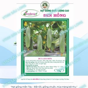 Dưa Leo SH 76 trái dài 18-20cm màu xanh nhạt gói 10g ( khoảng 320 đến 350 hạt)