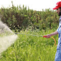 (1 Hole/3 Hole） Double Mist Nozzle Sprinkler Adjustable Nozzle Sprayer Kabut High Pressure Mist. 