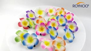 ROYHOO 40 chiếc kẹp tóc hoa frangipani giả bằng xốp dùng cho cô dâu đám cưới tiệc luau bãi biển trang trí tiệc nhiệt đới