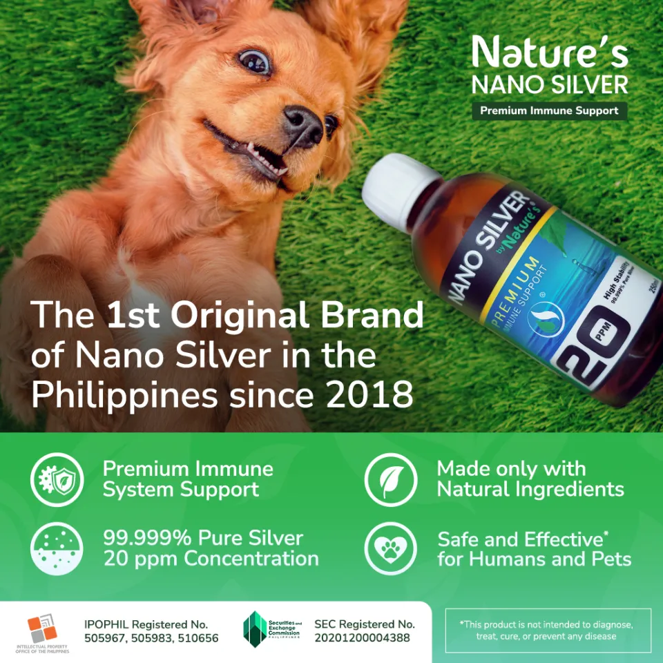 Nano silver 2024 for dogs dosage