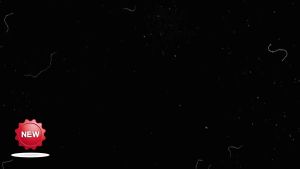 DG513  เหมาะสำหรับฟอร์ด 8M2E12A366AA คอยล์จุดระเบิด 3.0 ถุงลม 2M2Z12029AC