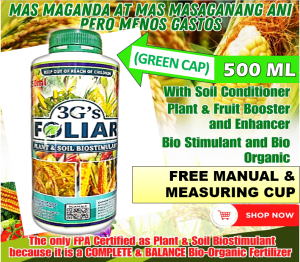 3Gs FOLIAR – SOIL AND PLANT BIOSTIMULANT JAPAN TECHNOLOGY ALL IN ONE SUPER FOLIAR BIO ORGANIC LIQUID FERTILIZER