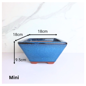 The Leaferie Bonsai (Series 85) Square Flowerpot flowerpots flower pot plant pots planter. Ceramic