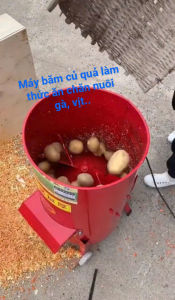 Máy xay rau củ quả ủ lầm phân hữu cơ