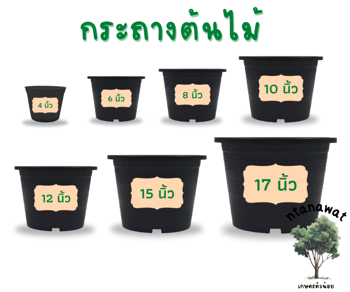 กระถางพลาสติกอเนกประสงค์สำหรับแคตตัสและผัก