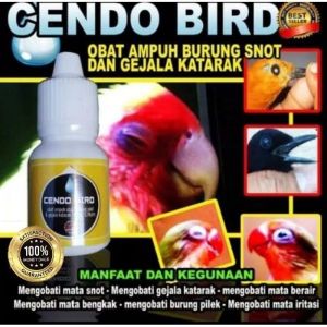 BMW Cendo Bird Obat Burung Sakit Mata Katarak Berlendir Berair