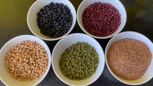 Đậu sạch các loại - 05kg loại ngon