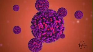 🅾🅵🅵🅸🅲🅸🅰🅻 PROPOLIS PLATINUM ORIGINAL K-LINK