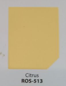 Rain or Shine Elastomer Wall Paints 1L