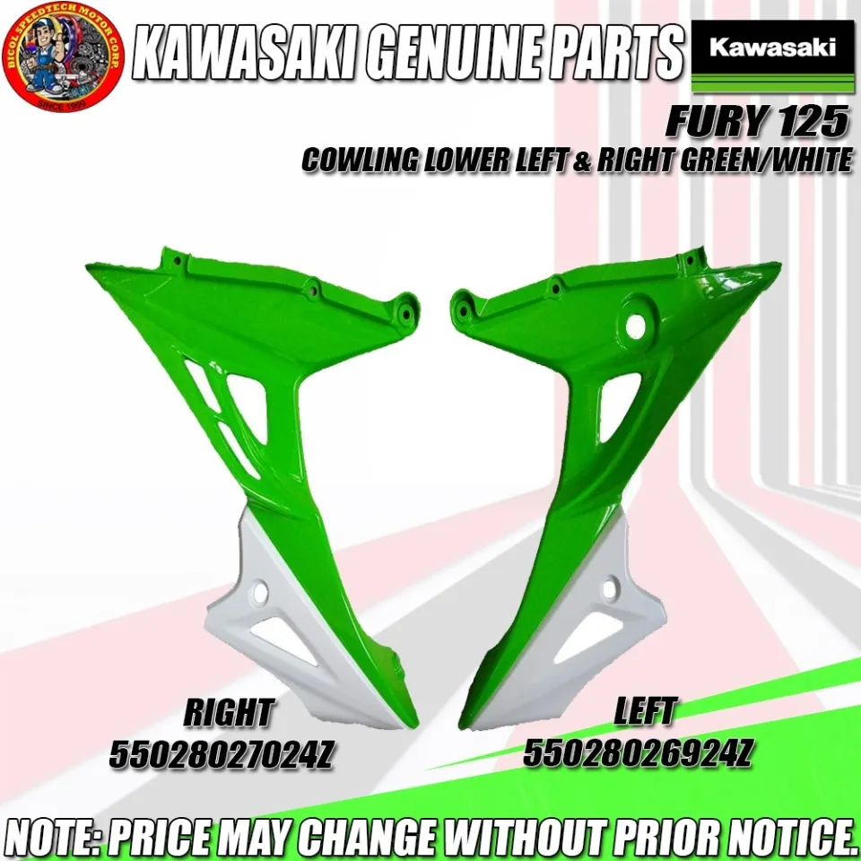 Kawasaki fury outlet 125 cowling