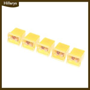 [Hillarys] 5pcs Mini Square Fuse 20A 30A 40A 50A 60A 70A 80A 90A Set Automotive Car Fuse With Plastic Box Assortment Auto Fuse