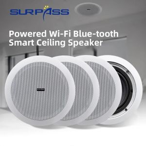 ชิ้น WiFi ลำโพง 6 นิ้ว บลูทูธ สเตอริโอลมโพง D โฮมเธียเตอร์เพลงพื้นหลังชูดเสียง RJ45 Aux การควบคุม