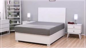 Zippered Bedbug Mattress Protector Waterproof Mattress Cover Premium Quality Hypoallergenic Bed Encasement