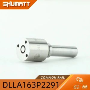 China Made New High Quality DLLA163P2291 Injector Nozzle 110 Series 3.5 Common Rail 0433172291