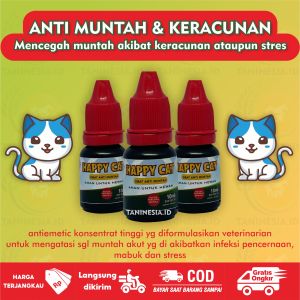 Obat Anti Muntah Pada Kucing Aman Untuk Kitten Dan Kucing Penambah Nafsu Makan Hewan